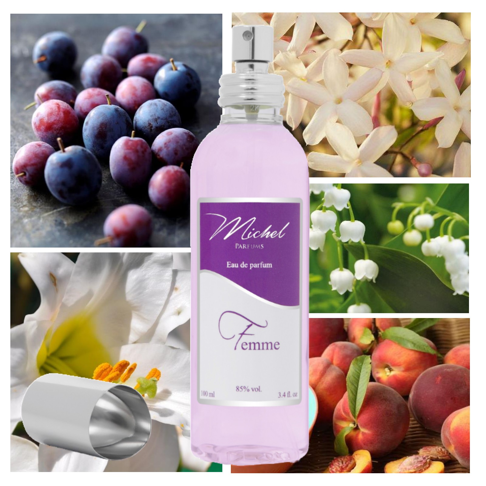 F132 Florale Fruitee une alternative a The One de Dolce Gabbana Michel Parfums