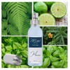 "H68 Hespéridée Aromatique" une alternative à "Lacoste Original®" de Lacoste-50 ml