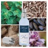 "H75 Boisée Aromatique" une alternative à "Le Beau®" de Jean-Paul Gaultier-50 ml