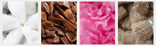 Parfums Floraux Boisés