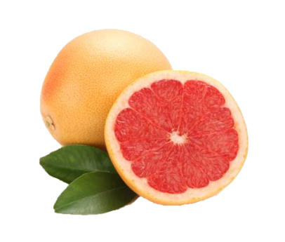 pamplemousse.png