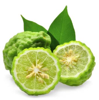 Bergamote.JPG