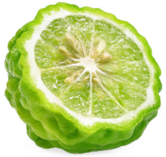bergamote.png